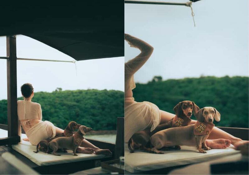 Pattaya: Private Traditional Boat Island Escape in Sattahip - Real Traveler Insights