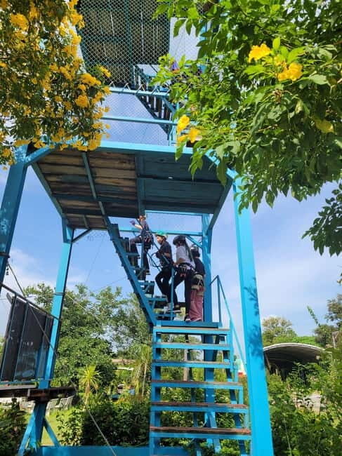 Pattaya: Tarzan Adventure Zipline & Jungle Experience - An Overview of the Experience