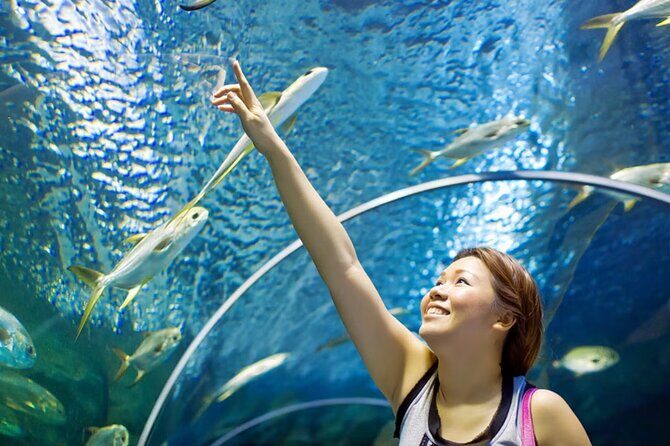 Pattaya Underwater World Admission Ticket - FAQs About Pattaya Underwater World