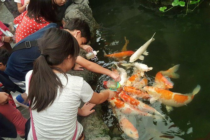 Pattaya Underwater World - Discover Ocean Treasures - Who Should Visit Pattaya Underwater World?