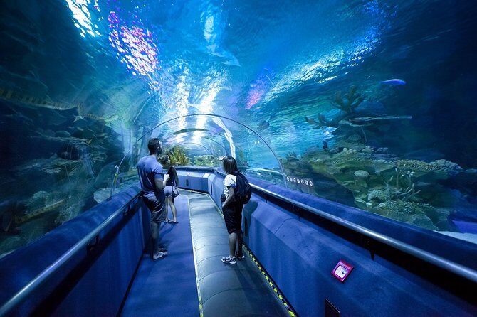 Pattaya Underwater World Entrance Ticket - Key Points