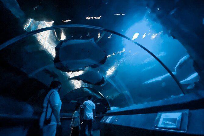 Pattaya Underwater World Entrance Ticket - FAQ About Pattaya Underwater World Entrance Ticket