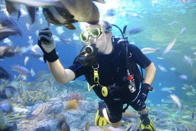 Pattaya Underwater World Tickets - Who Will Love This Experience?