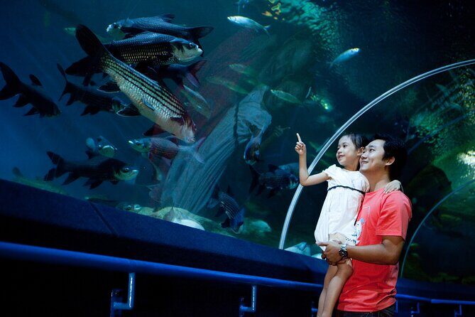 Pattaya Underwater World Tickets with Optional Hotel Pickup - Frequently Asked Questions