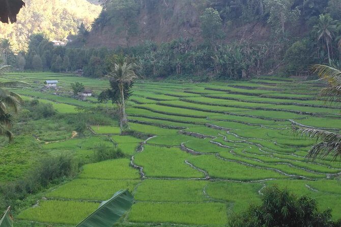 Pauls Flores Tour Labuan Bajo to Ende Flores Land Tour inland by Car 6 Days - FAQ