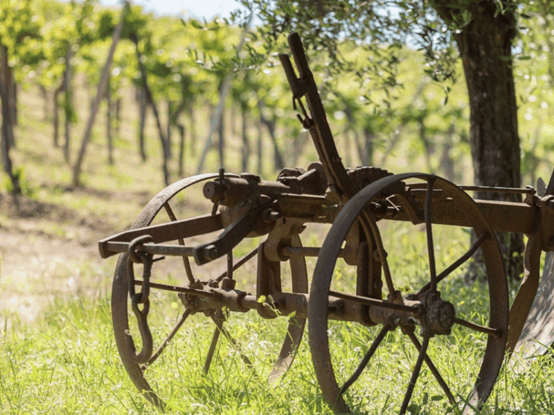 pavia-organic-winery-visit-wine-tasting-with-food-platter