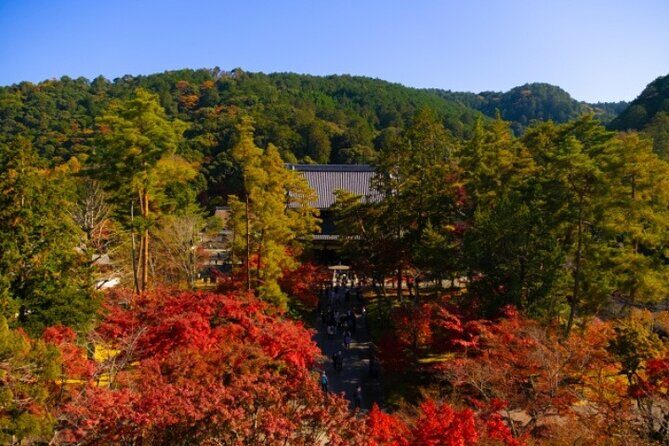 Peaceful Kyoto Walking Tour - What’s Included and What’s Not