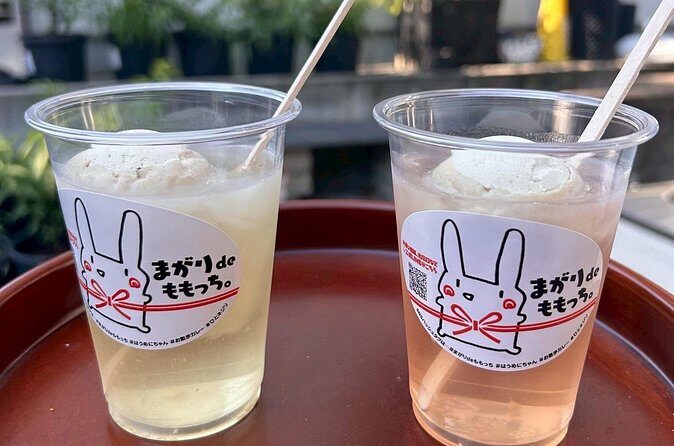 Peach Farm Walk & Farming Experience with a Peach Drink - The Sum Up: Who Will Love This Experience?