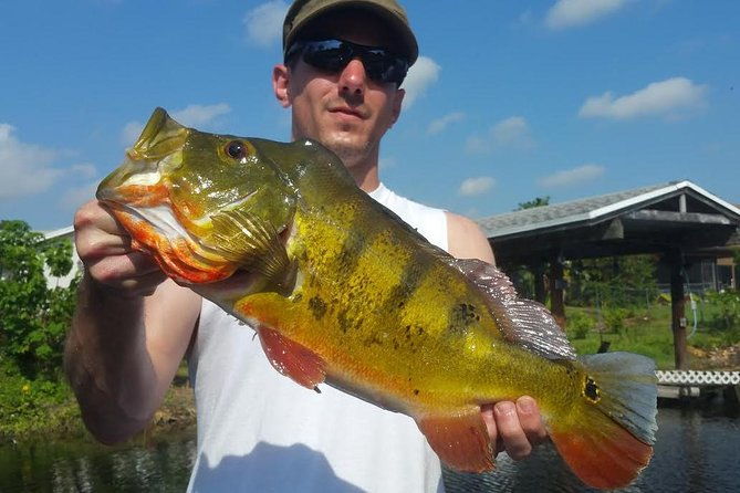 peacock-bass-fishing-trip-in-boynton-beach