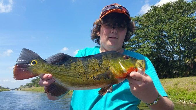 peacock-bass-fishing-trips-near-key-largo