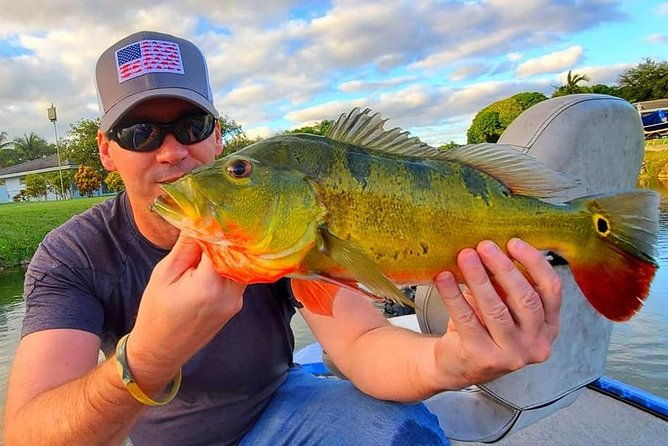 peacock-bass-fishing-trips-near-key-largo
