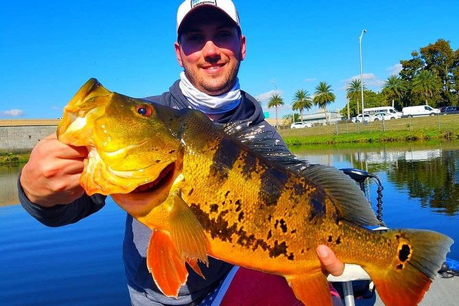 peacock-bass-fishing-trips-near-miami-florida-2
