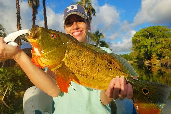 peacock-bass-fishing-trips-near-miami-florida-2
