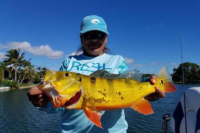 peacock-bass-fishing-trips-near-miami-florida-2