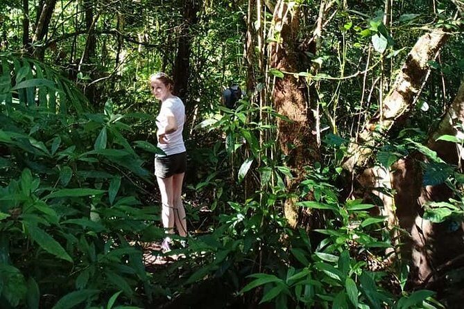 Peak, Paddle & Pedal - Discovering the "Peak, Paddle & Pedal" Experience in North Bali