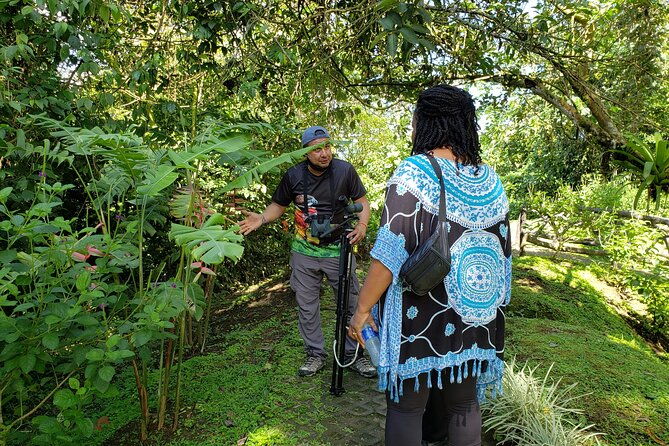 peak-pursuit-embark-on-the-arenal-volcano-hike-expedition