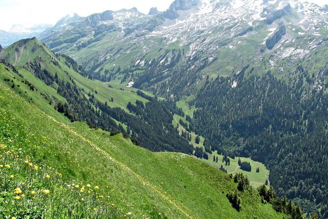 Peak to Peak Private Hiking Tour from Lucerne - Final Thoughts