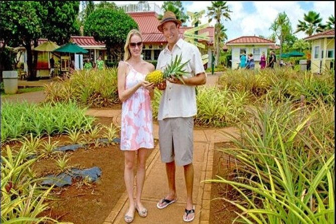 pearl-harbor-dole-plantation-and-polynesian-center-from-maui-2