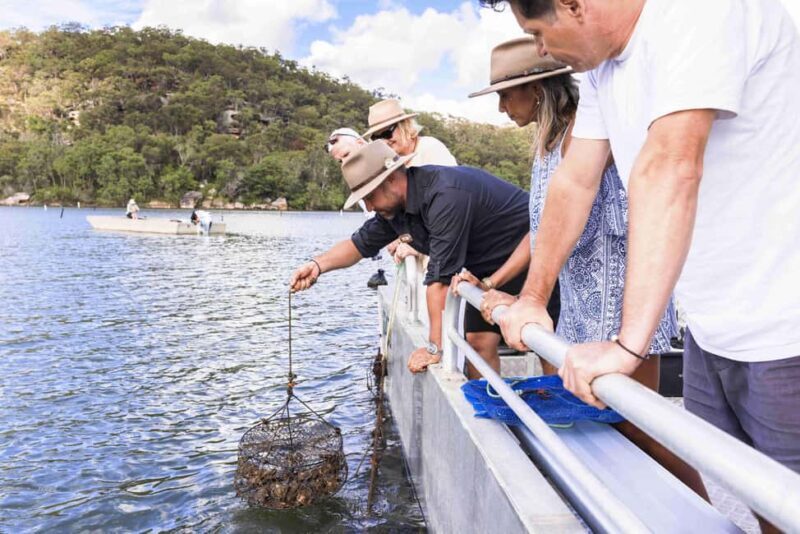 Pearl & Oyster Farm Hawkesbury River Cruise - Introduction