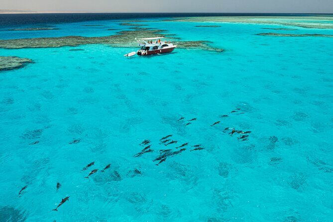 Pearls Island - Exploring the Pearls Island Tour in Detail