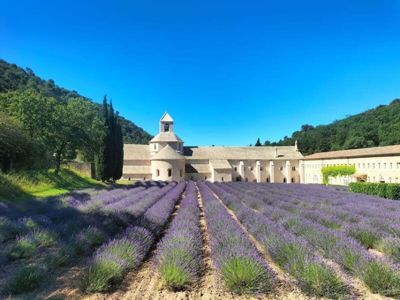 pearls-of-luberon-gordes-rousillon-senanque-private-trip-2