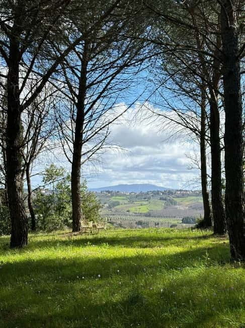 Peccioli: Painting Experience with Wine and Snacks - Who Would Love This Tour?