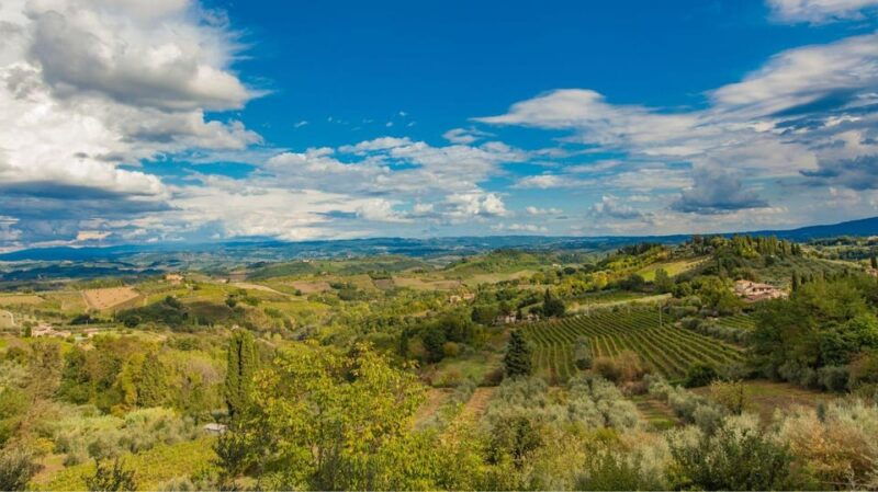 peccioli-valdera-2-hour-e-bike-guided-tour-wine-tasting