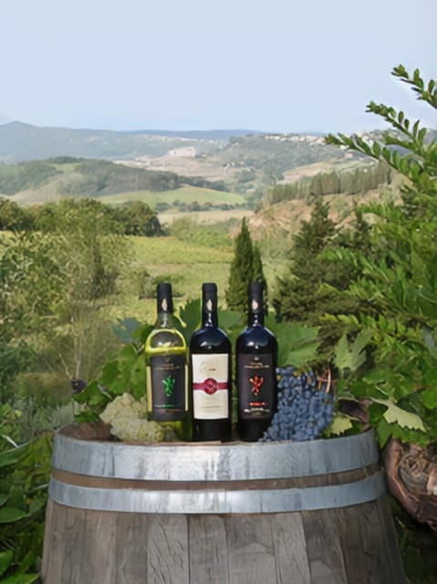 peccioli-wine-tasting-experience