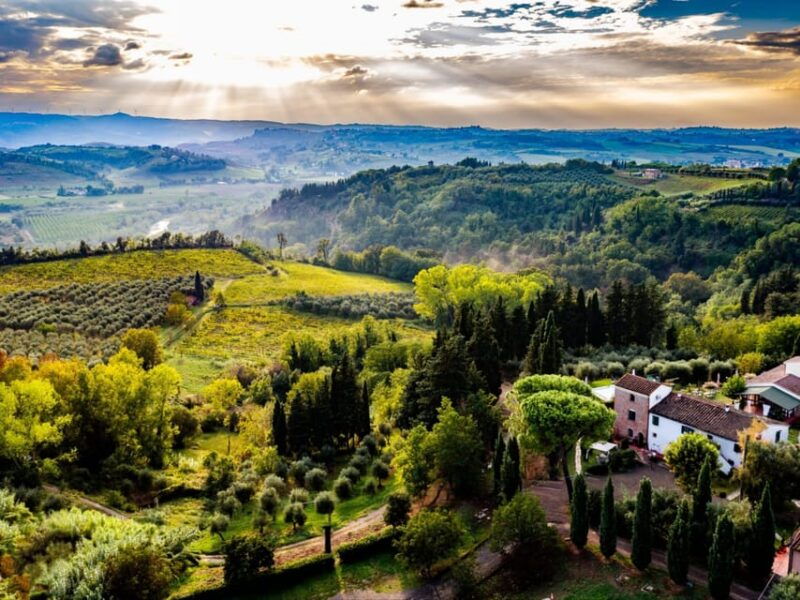 peccioli-wine-tasting-experience