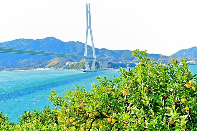 Pedal Through Art Ikuchijima Island Cycling Tour - Introduction: A Unique Blend of Art, Nature, and Cycling