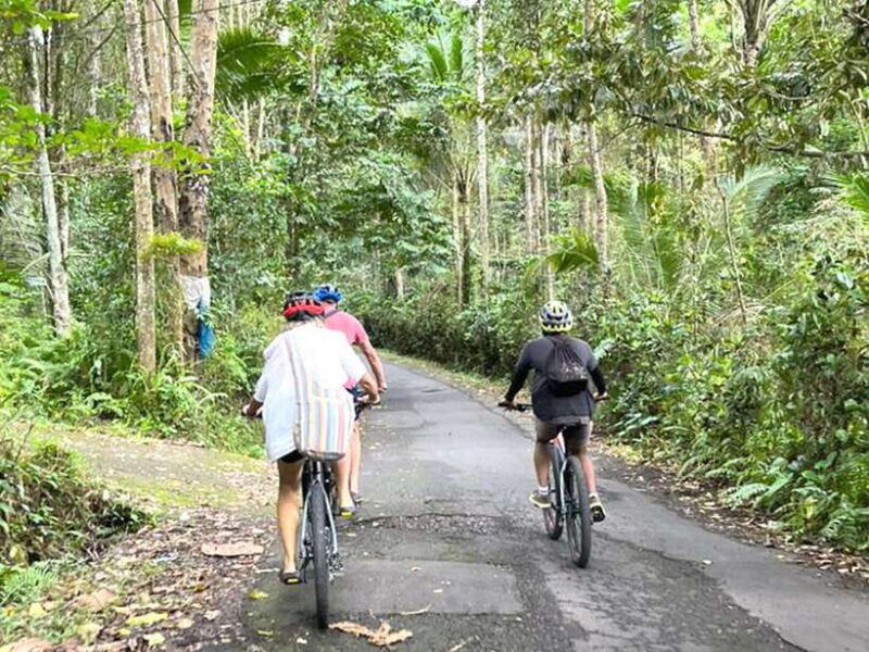 pedal-through-paradise-bali-wanderlust-sidemen-cycling-tour