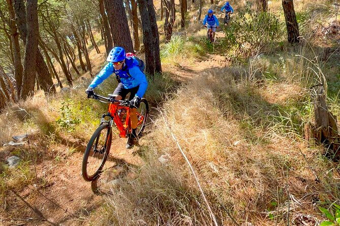 pedals-flavours-sorrento-oil-and-lemon-tour