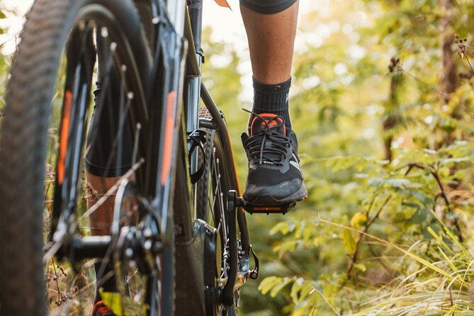 pedals-flavours-sorrento-oil-and-lemon-tour