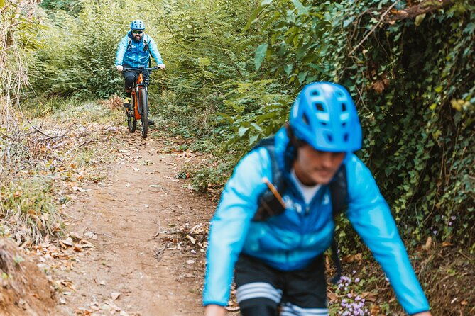 pedals-flavours-sorrento-oil-and-lemon-tour