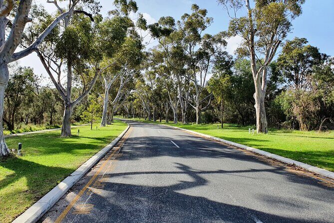 Pedals & Petals - Discovering Wildflowers Bike Tour Kings Park - Why You’ll Love the Pedals & Petals Kings Park Bike Tour