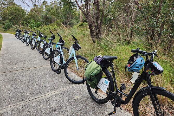 Pedals & Petals - Discovering Wildflowers Bike Tour Kings Park - Guides and Their Impact