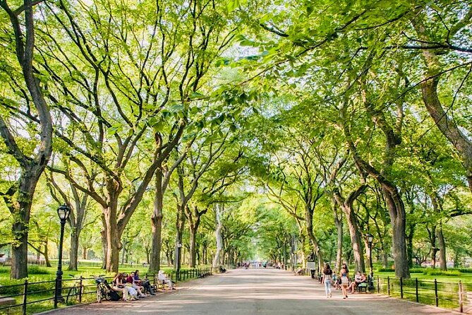 pedicab-tours-central-park-2