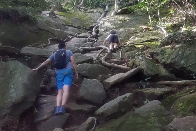 pedra-da-gavea-hike-best-prices-small-groups