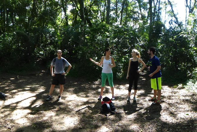 pedra-da-gavea-hiking-tour-the-most-challenge-hike-in-rio-de-janeiro