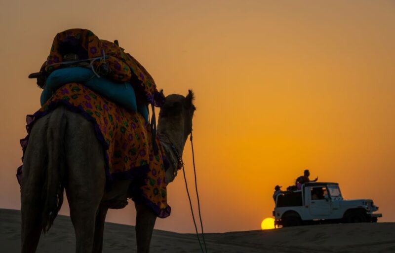Peeps Billions of Star Experience with Desert & Camel Safari - Who Is This Tour Perfect For?