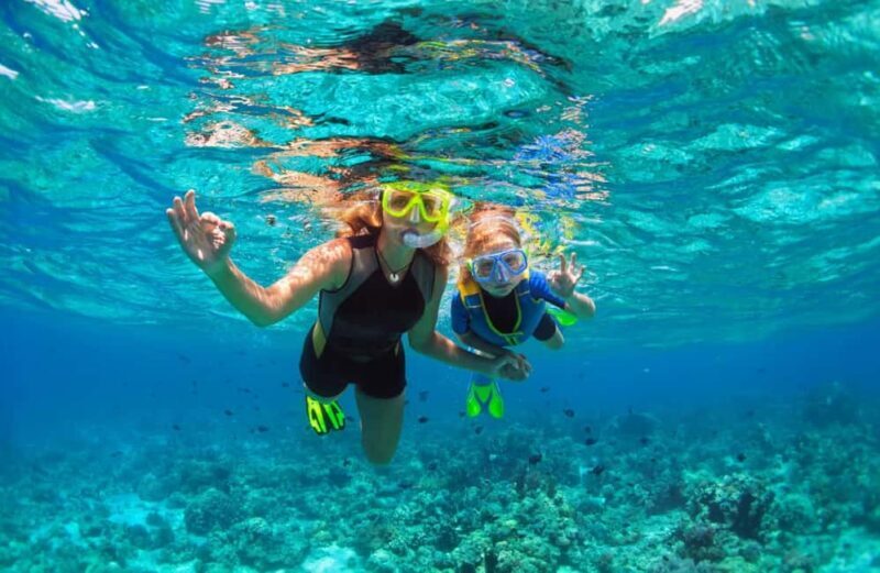 Pefkochori: Snorkeling Trip in Halkidiki-Kassndra - An Overview of the Experience