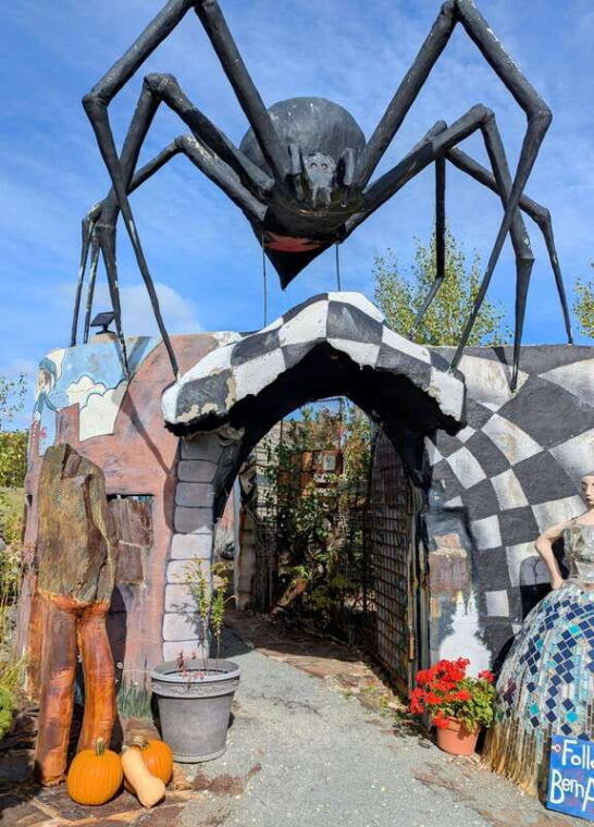 peggys-cove-lunenburg-2-hidden-gems-full-day-tour