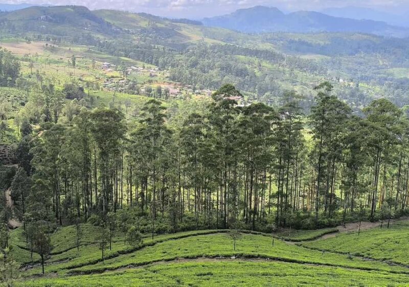 Pekoe Trail 1-5: Guided 7-Day Trek with Hotels & Transfers - The Value of the Experience