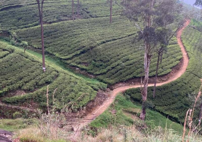 Pekoe Trail 6-9: Guided 6 Day Trail with Hotels & Transfers - What We Love About the Pekoe Trail Experience