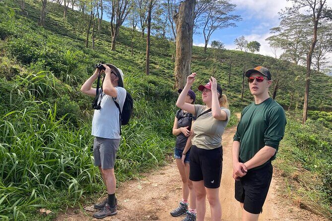Pekoe Trail Stage 1- Scenic Trek from Hanthana to Galaha - A Detailed Look at the Pekoe Trail Stage 1 Experience