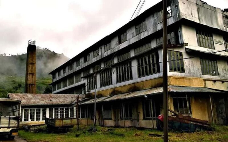 Pekoe Trail Stage 11 Guided Hike (Horton Plains-Udaweriya) - Why This Tour Works Well