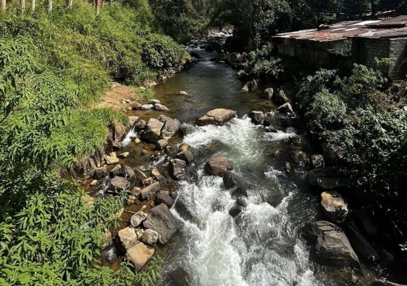 Pekoe Trail Stage 5 Guided Hike (Pundaluoya-Watagoda) - Why This Tour Offers Good Value