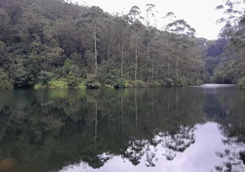 Pekoe Trail Stage 7 Guided Hike (Kotagala-Norwood) - The Itinerary Breakdown