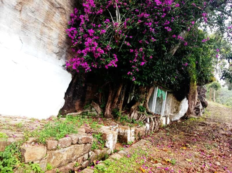 Pekoe Trail Stage 8 Guided Hike (Norwood-Bogawantalawa) - Key Points