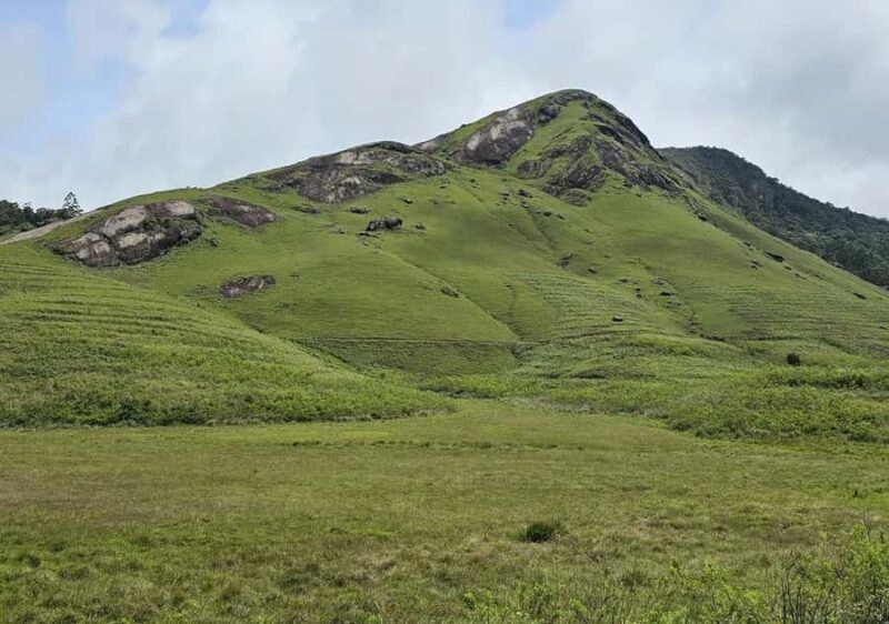 Pekoe Trail Stage 9 Guided Hike (Bogawantalawa-Dayagama) - Introduction